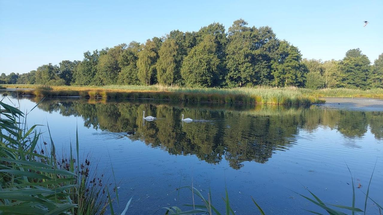 Helle Ferienwohnung In Nettetal Bei Venlo Экстерьер фото
