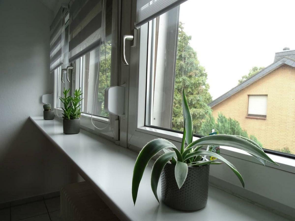 Helle Ferienwohnung In Nettetal Bei Venlo Экстерьер фото